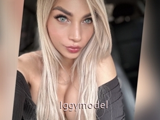 Iggymodel