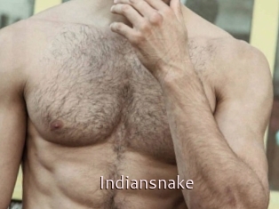 Indiansnake
