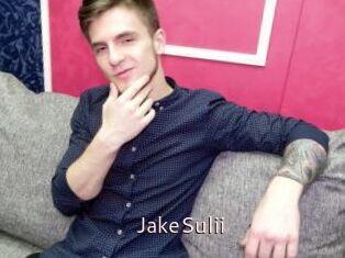JakeSulii