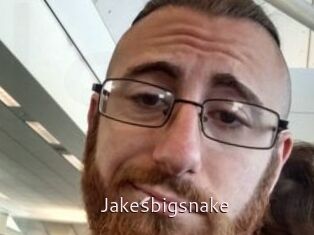 Jakesbigsnake
