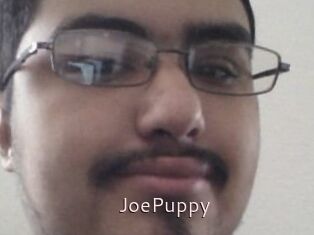 JoePuppy