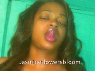 Jasmineflowersbloom