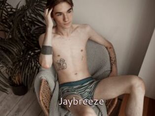 Jaybreeze