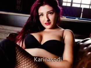 Karinasodi