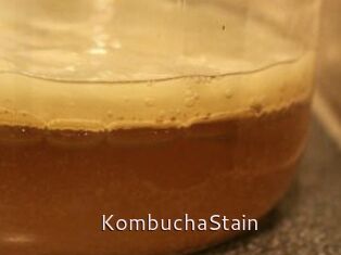 KombuchaStain