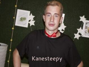 Kanesteepy