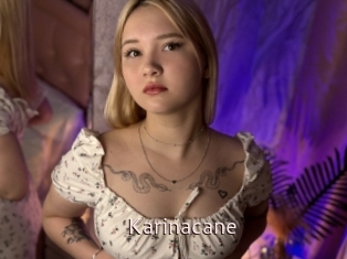 Karinacane