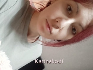 Karinakodi