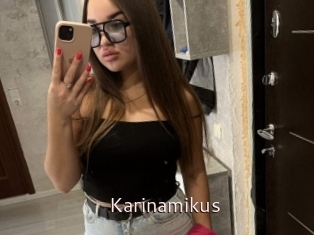 Karinamikus