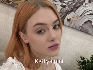 Kattyamini