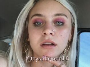 Kittysplaypen18