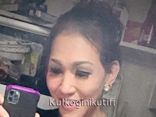 Kulkoginikutifi