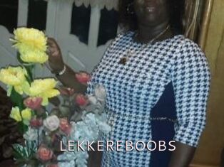 LEKKEREBOOBS