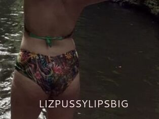 LIZPUSSYLIPSBIG