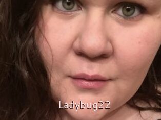 Ladybug22