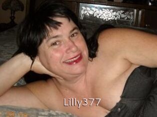 Lilly377