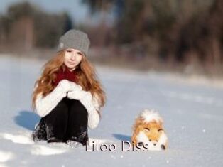 Liloo_Diss