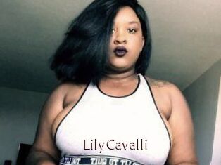 Lily_Cavalli