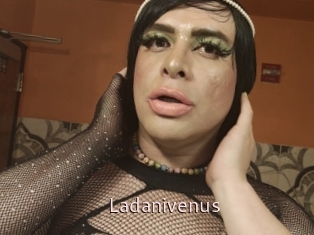 Ladanivenus