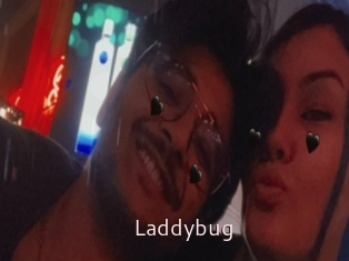 Laddybug