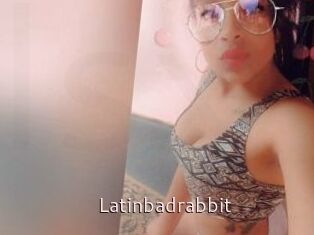 Latinbadrabbit