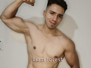 Liam_forest