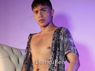 Liamcullen