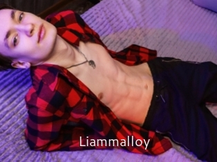 Liammalloy