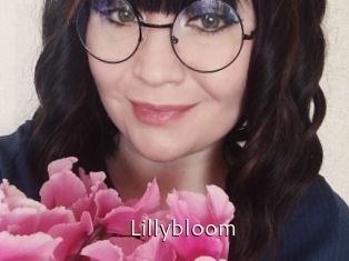 Lillybloom
