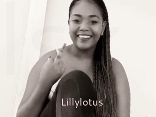 Lillylotus