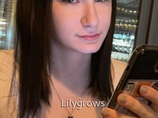 Lilygrows