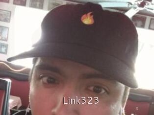 Link323