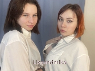 Lisaandmika