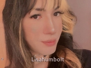 Lisahumbolt