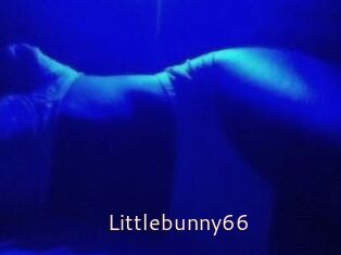 Littlebunny66