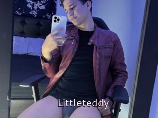 Littleteddy