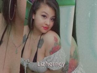 Lizhorney