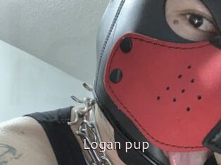 Logan_pup