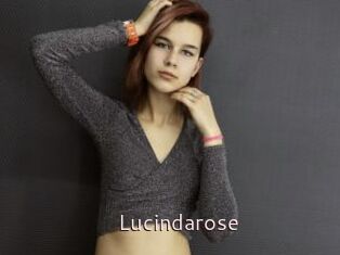Lucindarose