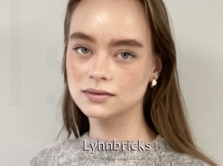 Lynnbricks