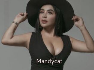 Mandycat