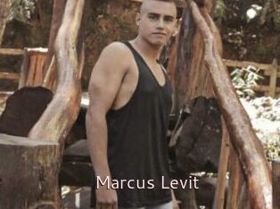 Marcus_Levit