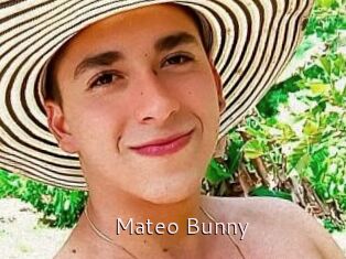 Mateo_Bunny