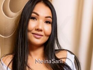 MeinaSani