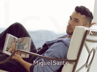 MiguelSanto