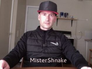 MisterShnake