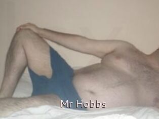 Mr_Hobbs