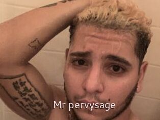 Mr_pervysage