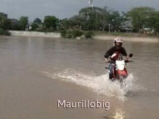 Maurillobig