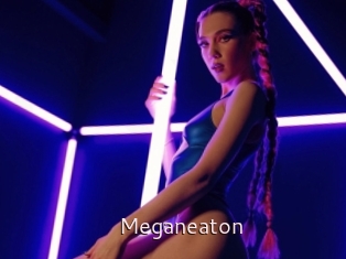 Meganeaton